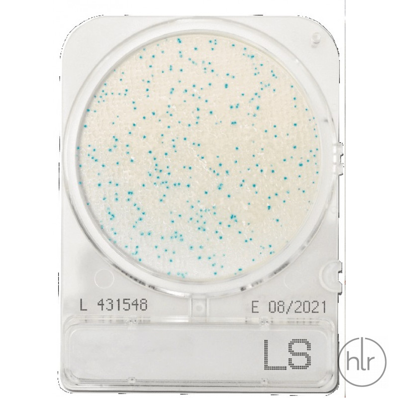 Середовище мікробіологічне Compact Dry LS Listeria 40 шт/уп